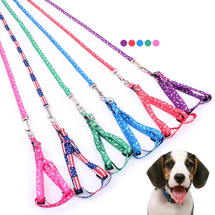 polyester rope leash dog cheap price printing dog leash pet collars 1.0 cm mix color dog training leash