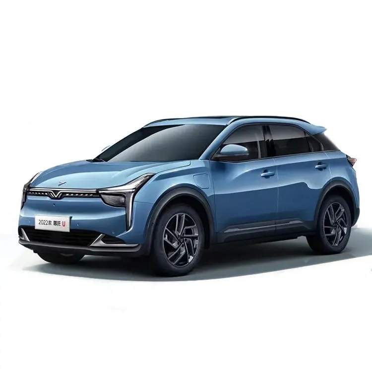 2022 2023 Neta U глобальная версия Hozon Edition Новый энергетический автомобиль nzha Pro Zhi 400 500 610 внедорожник eev электромобиль 600 км