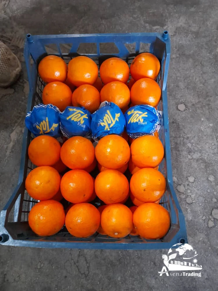 The most popular wholesale low price New crop Tangerine Fresh fruits Mandarin oranges brands fresh oranges