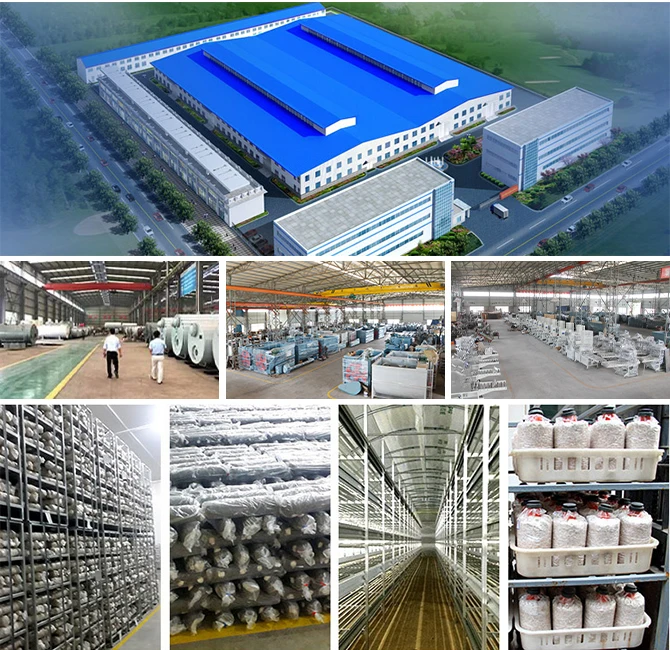 Large Capacity Double Doors Autoclave for Mushroom Substrate Mushroom Growing Bag Sterilization Machine