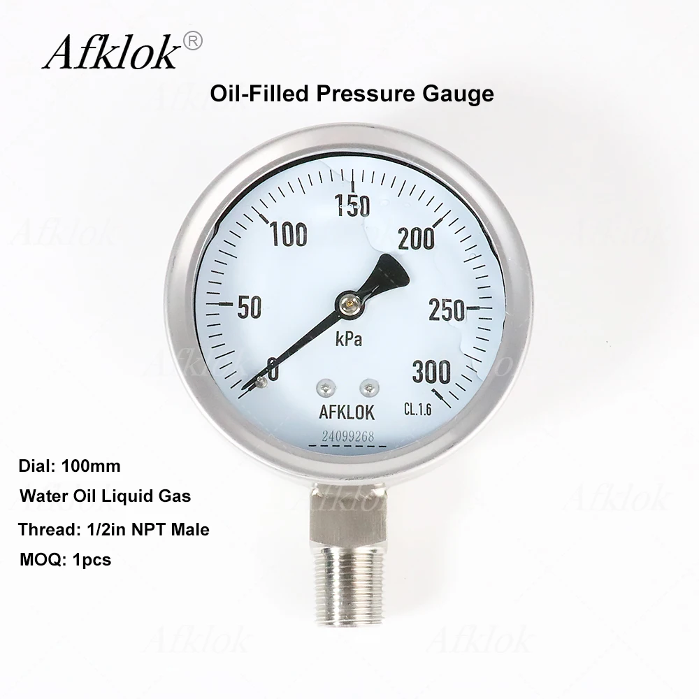 Stainless Steel Case Oil Pressure Gauges For Liquid or Gas 8/60/300/1000Kpa Dial 100mm Radial Connection 1/2in Male Threads