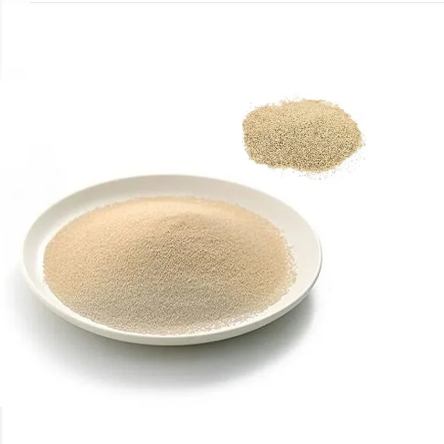 Alcohol Yeast for win fruit brewer yeast wine yeast