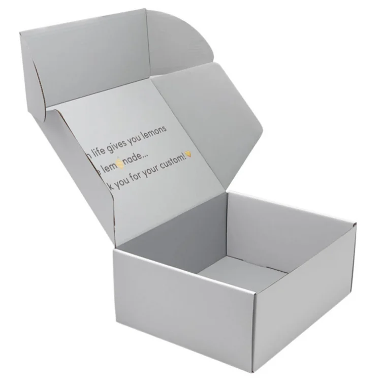 Dongguan small new arrival christmas theme favor gift shipping white literature mailer boxes for food