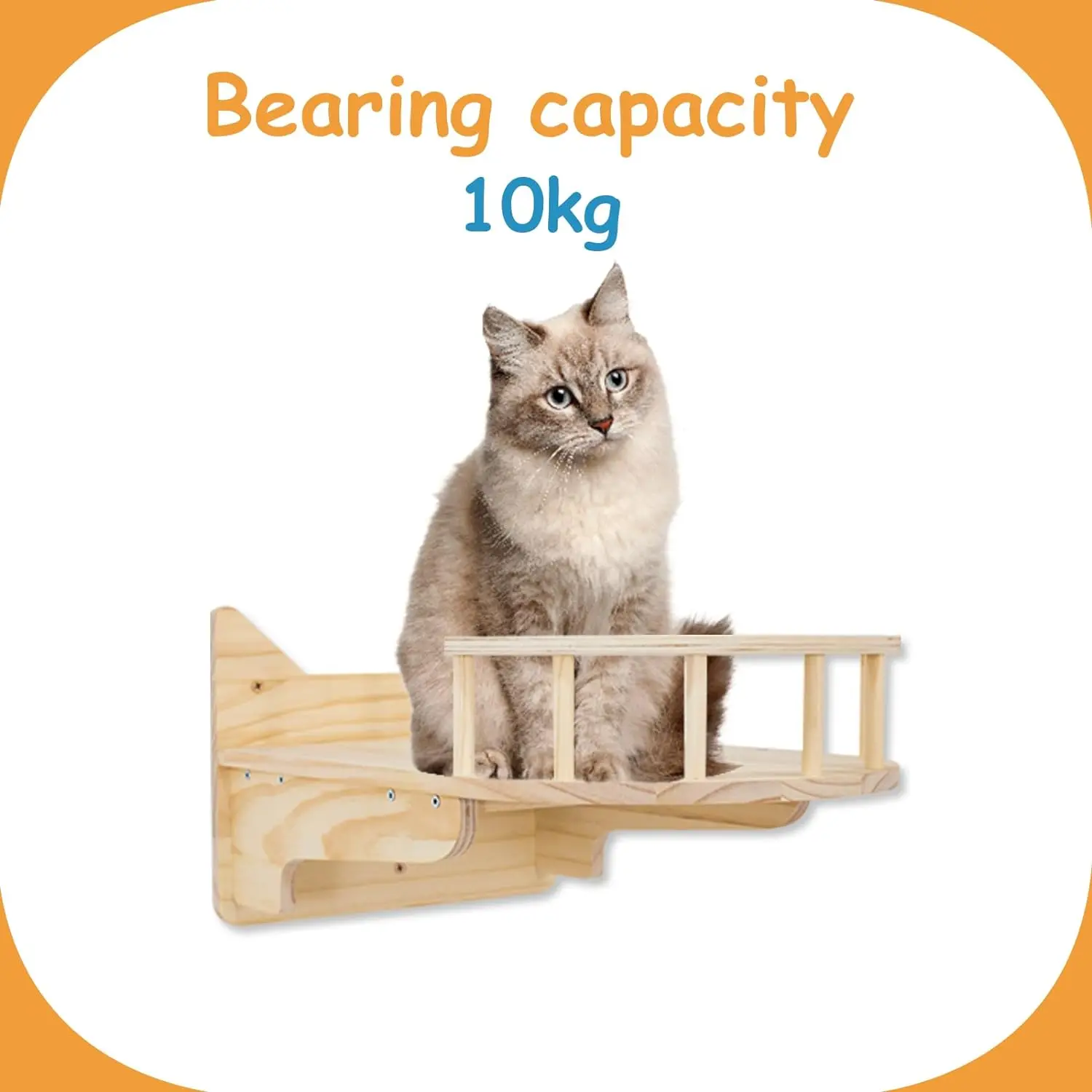 Pine bamboo cat wall climbing frame set of 5 cat wall furniture cat shelves and perches