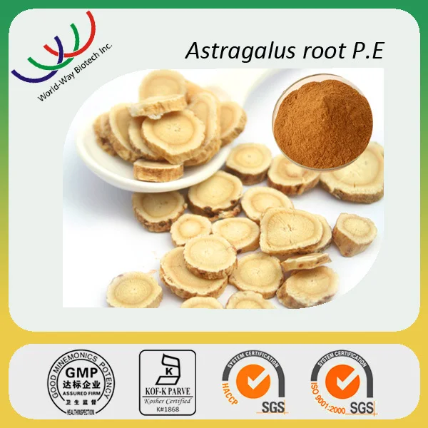 Astragalus Extract Hot sell Supply Pure Astragalus Cycloastragenol Powder Cycloastragenol 99%