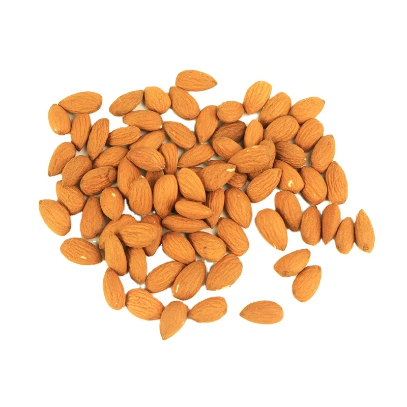 Raw almond suppliers dry sweet almond kernels without shell
