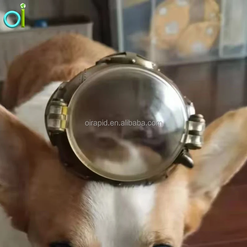 Puppy Cat Hat Helmets Small Pet Cool Fashion Plastic Outdoor Helmets Photo Props Protect Pet Accessories