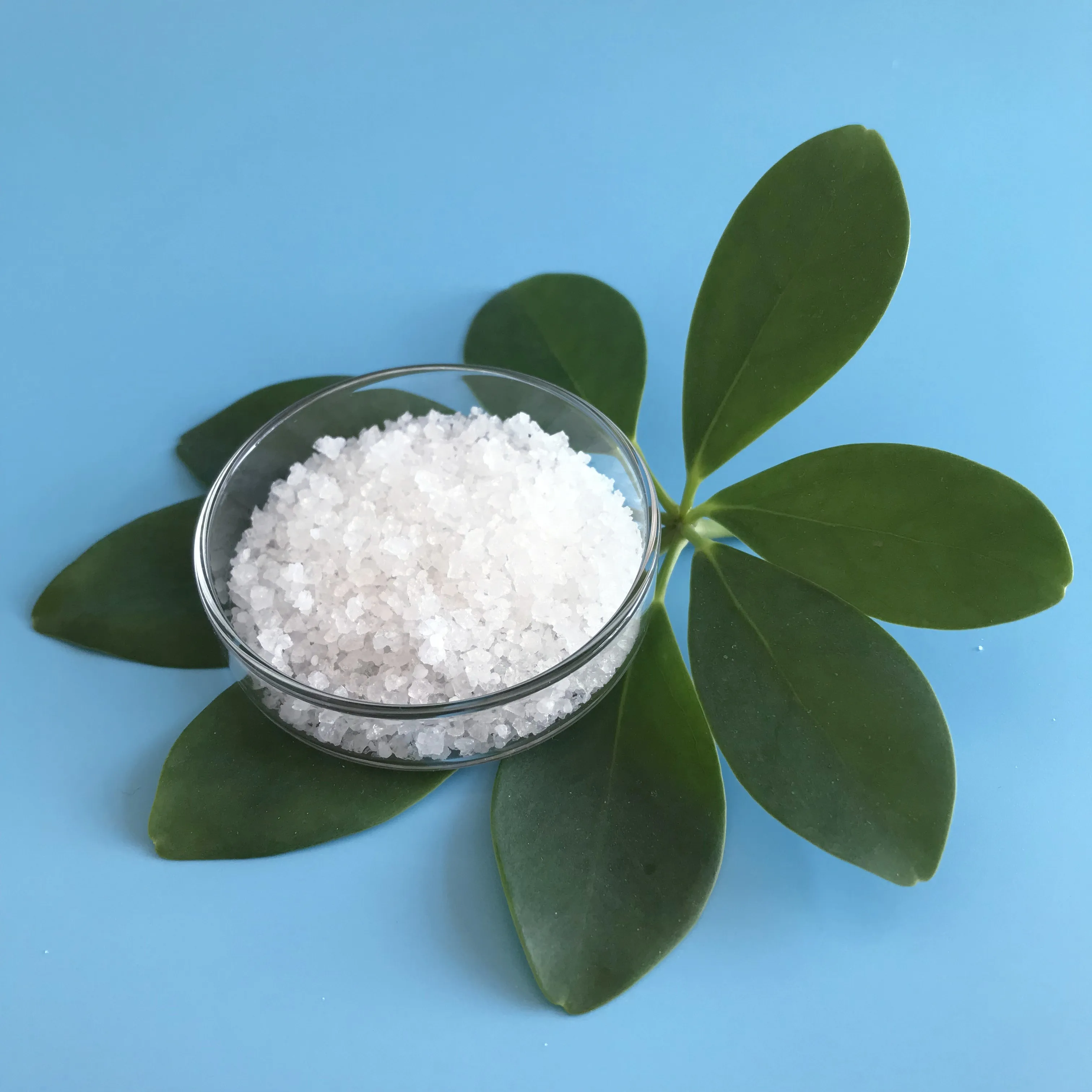 Top Value Organic Type Potassium Polyacrylate Super Absorbent Polymer With Competitive Price To Solve The Drought Problem