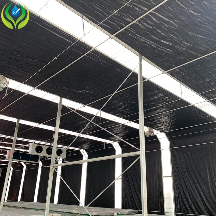 Agriculture 8 X 12m Clear Roof Tent Galvanized Steel Frame Light Deprivation Greenhouse