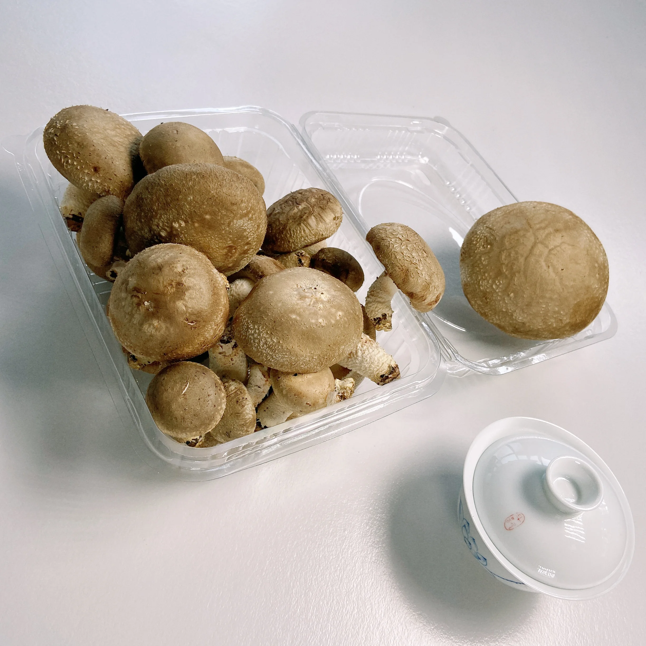 Wholesale Fine Fresh Mini-xl Tender Export Mushrooms Fresh Price