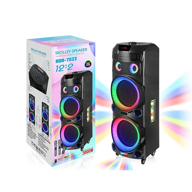 Professional Single 12 Inch Rechargeable Portable Bluetooths Trolley Party Wireless Karaoke Sound Box speaker With Pull Rod