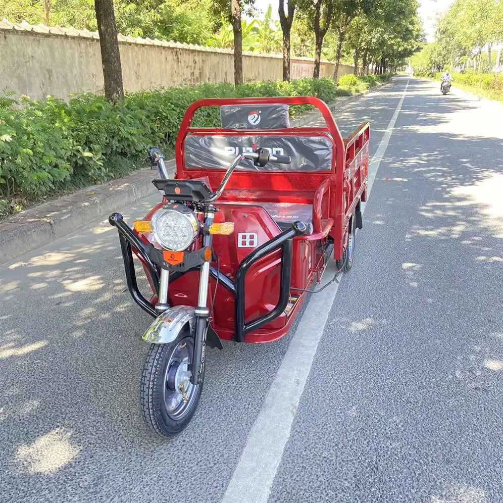 Top 24V Rickshaws Sale For Women Use