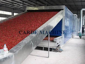 Mesh belt dryer automatic garlic mango parsley drying dry machine for cotton