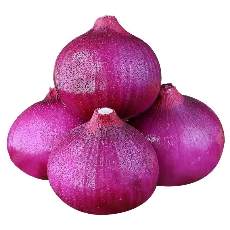 Yellow/Red onion fresh onions newest crop in bulk high quality professional export fresh onion wholesale