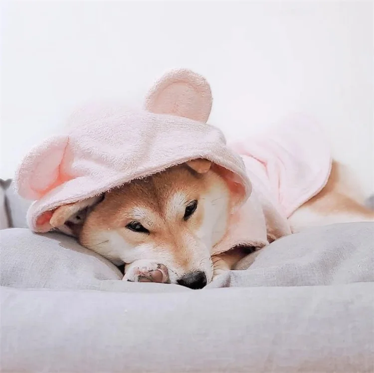 Qiqu Pet Supplies Custom New Designer Dog bath robe  Pet Clothes Personalized Pet Cat Drying Bathrobe coat robe towel for dog