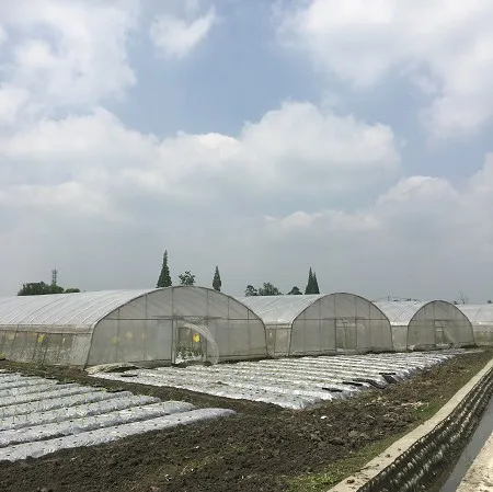 30x10m Tunnel Plastic Greenhouse Film Agriculture Green House