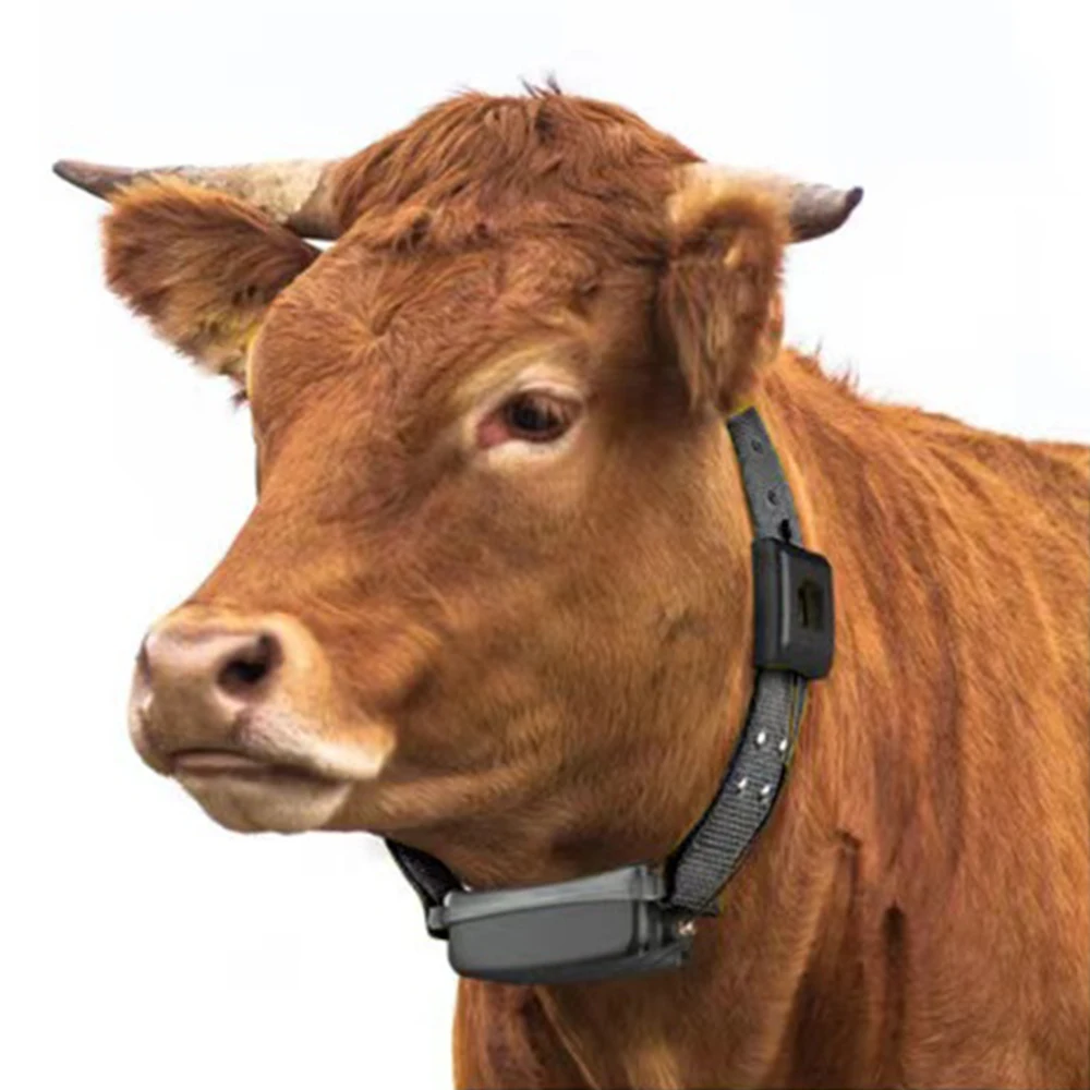 gps lora cow Tracker Sheep Animal Husbandry Intelligent Breeding Network Transmission Location lorawan gps cattle tracker