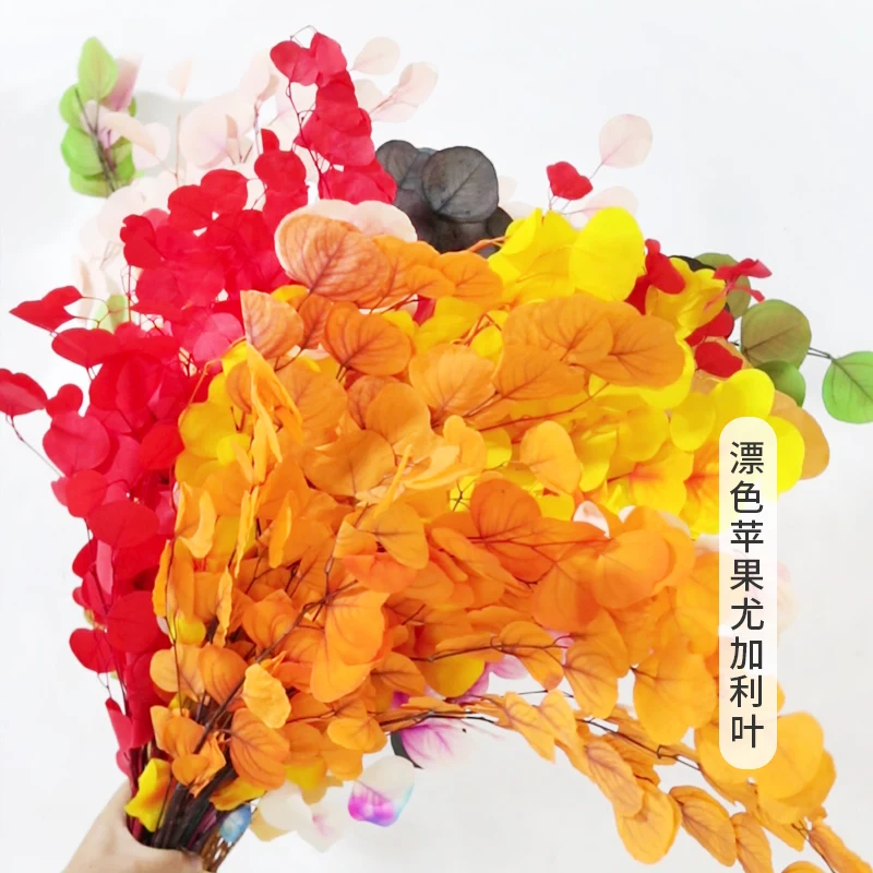 GH-031 Preserved eucalyptus branches silver dollar eucalyptus for vase wedding flower arrangements