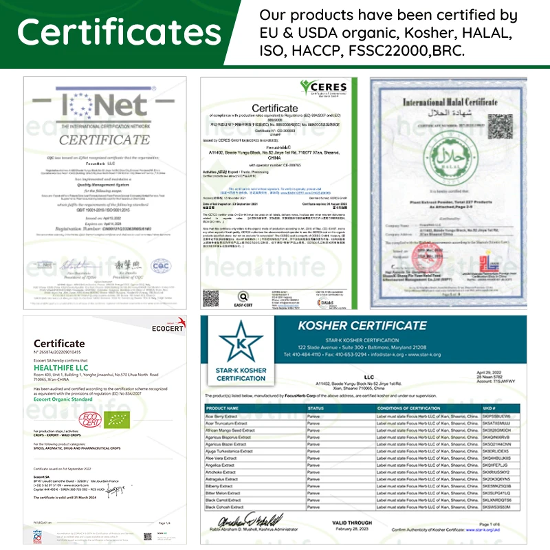 Порошок пшеничной травы Healthife Superfoods ISO HACCP Halal & органический порошок