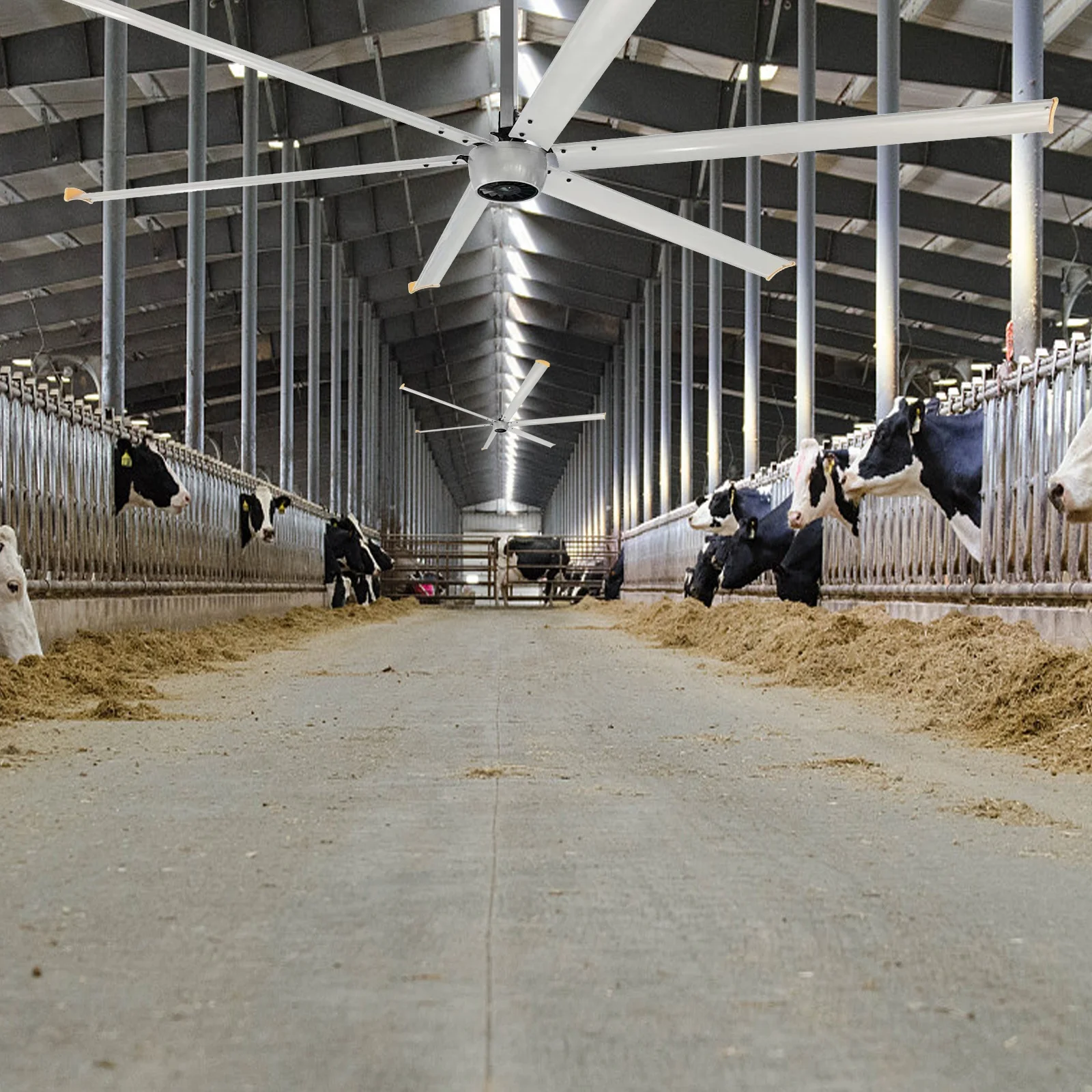 AMCLING AC Motor 12ft 7.3m 1500w Giant Industrial Ceiling hvls Fans Motor for canteen