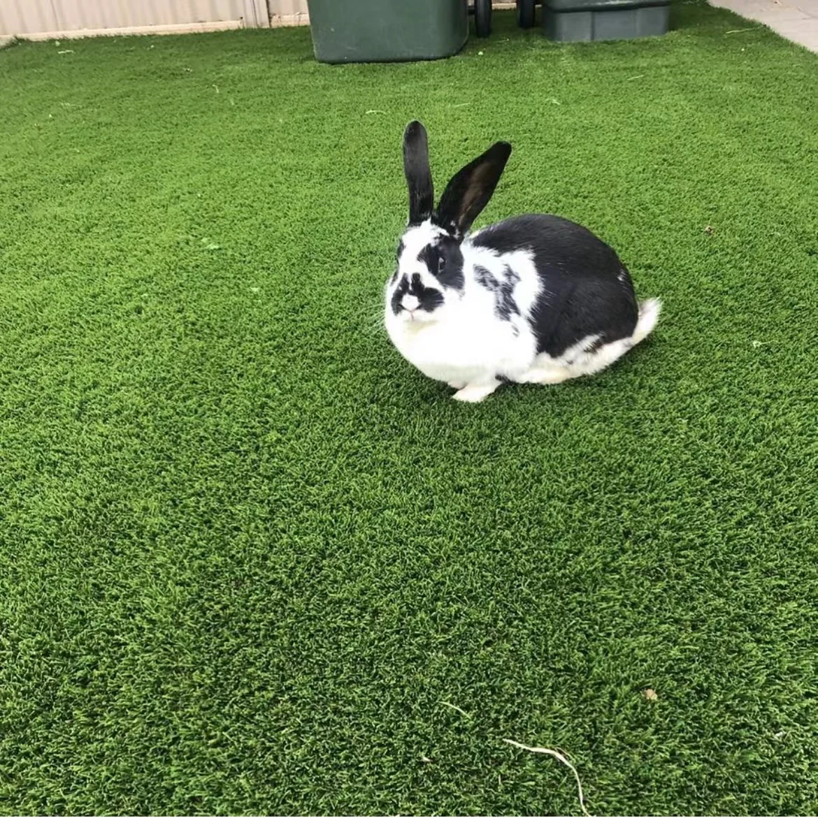 2022  grass carpet 30mm height artificial lawn synthetic 4 colors turf landscaping grass for decoration