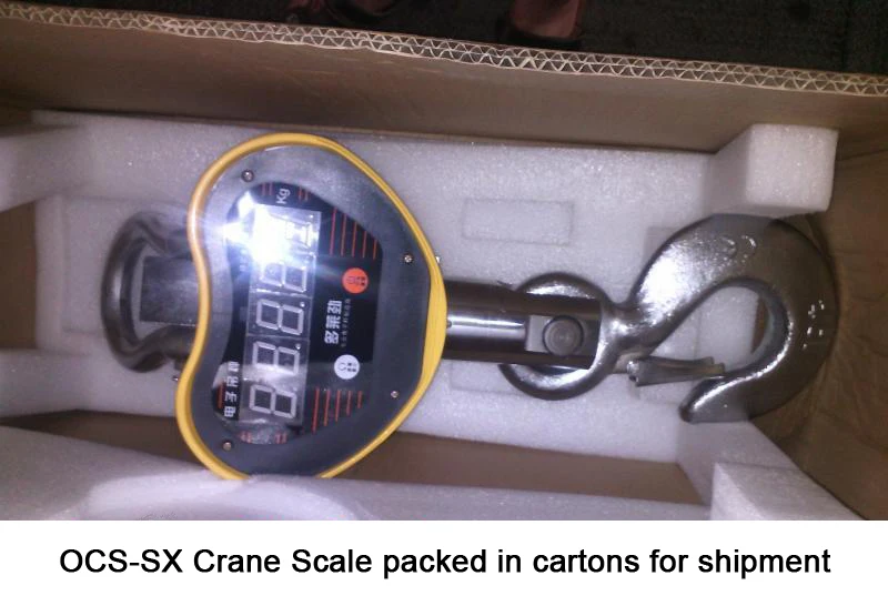 crane scale ocs-sx dlj (11)