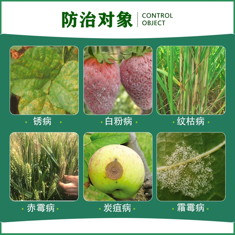 250g/L tebuconazole EC spot leaf fall disease head blight powdery mildew agricultural pesticide fungicide