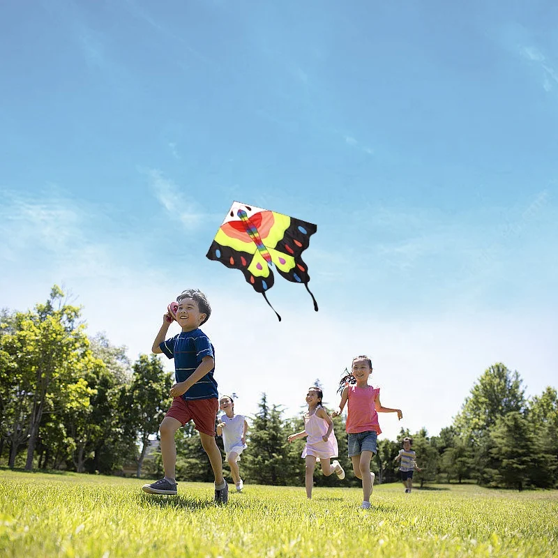 Good quality weifang polyester made flying kite cartoon animal kite butterfly kite