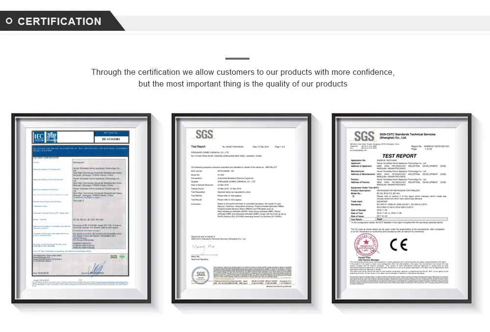 BD-178 Snowsea Commercial Refrigerator Deep Chest Freezer