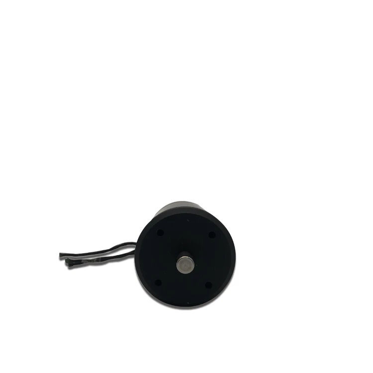 SUBFF 2023 New Style 170KV Dc 24V Motors 4080RPM With Mini Boat Brushless Underwater Motor