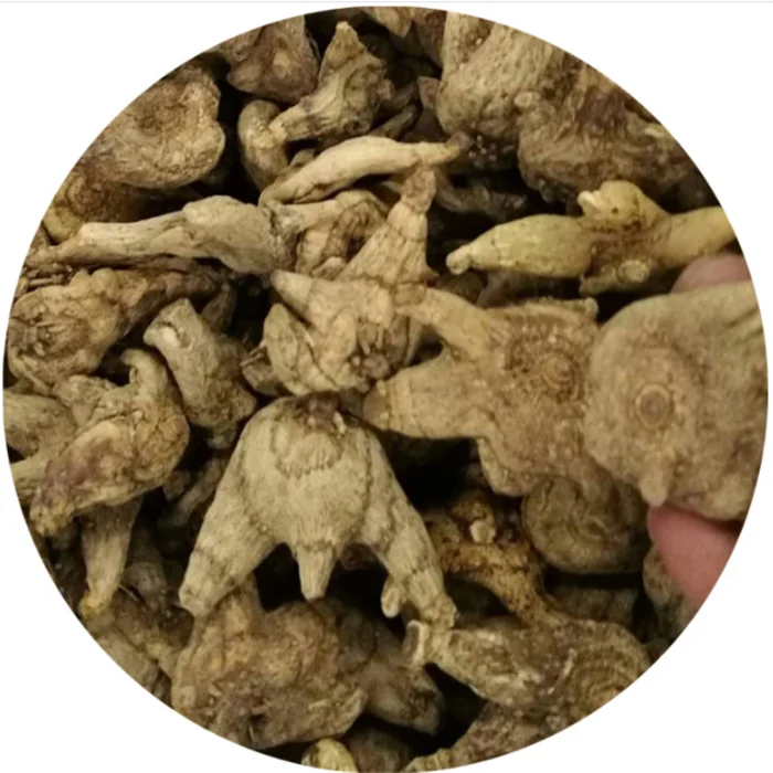 Bai ji Wholesale Herbal Rhizoma Bletillae Dried Bletilla Striata Root