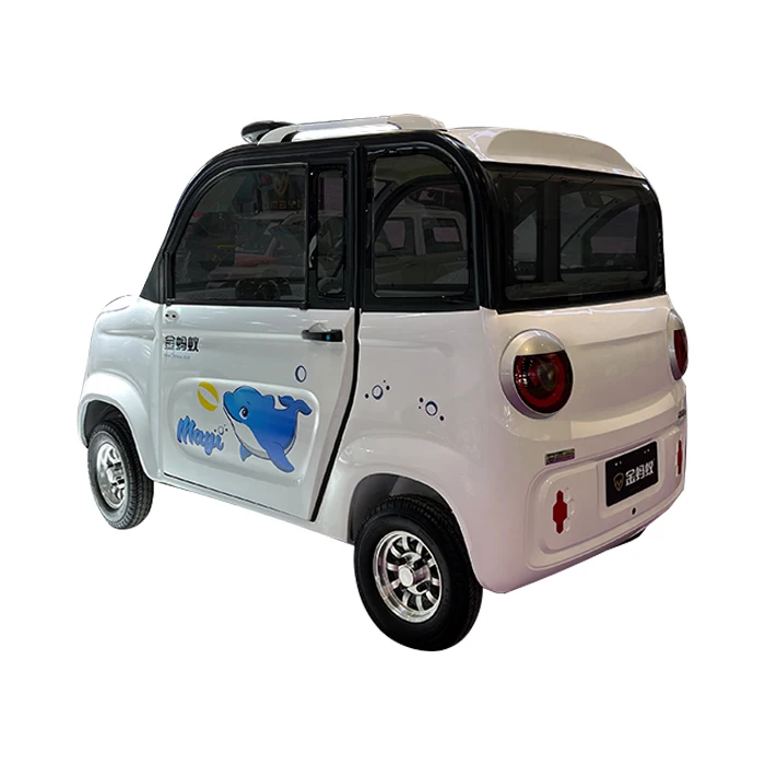 mini ev cargo truck 5 kw 500km ev cargo van 2024 OEM long range ev cars FD-2 Door