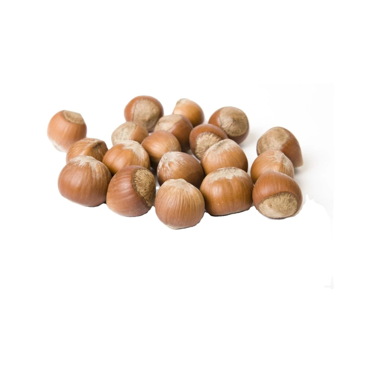 Roasted Hazelnuts Blanched Hazelnuts Organic Dried Hazel Nuts