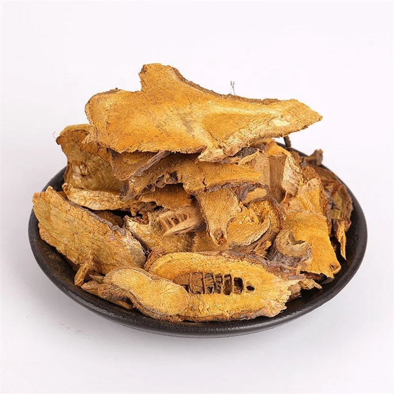 Hu Zhang Polygonum cuspidatum