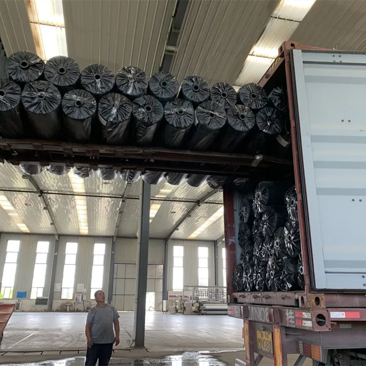 PET or PP material Staple Fiber Geotextiles Needled Nonwoven for Road Reinforced