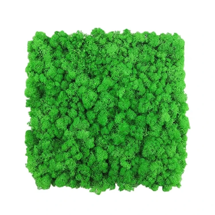 Wholesale 2023 hot sale well preserved moss panels, preserved reindeer moss for wall decoration