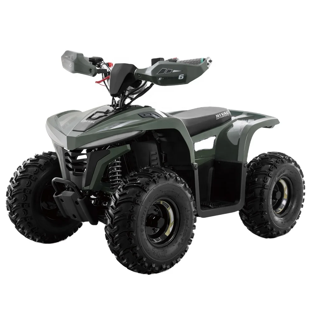 Tao Motor  2023 Latest Design Adult and Teenage ATV Electric ATV 4x4