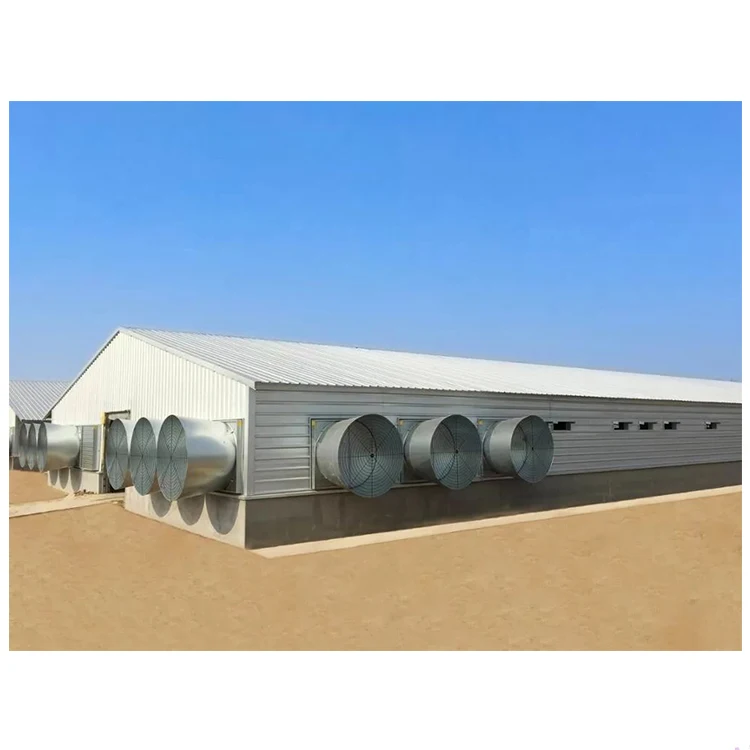 Free design prefab chicken farm building prefabricated steel structure chicken house