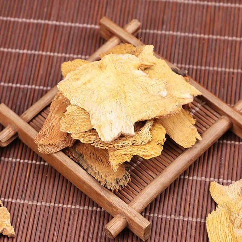 Hu Zhang Polygonum cuspidatum