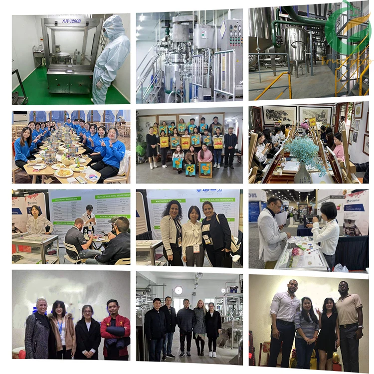 Fruiterco Wholesale Bulk Black Garlic Extract Black Garlic Powder