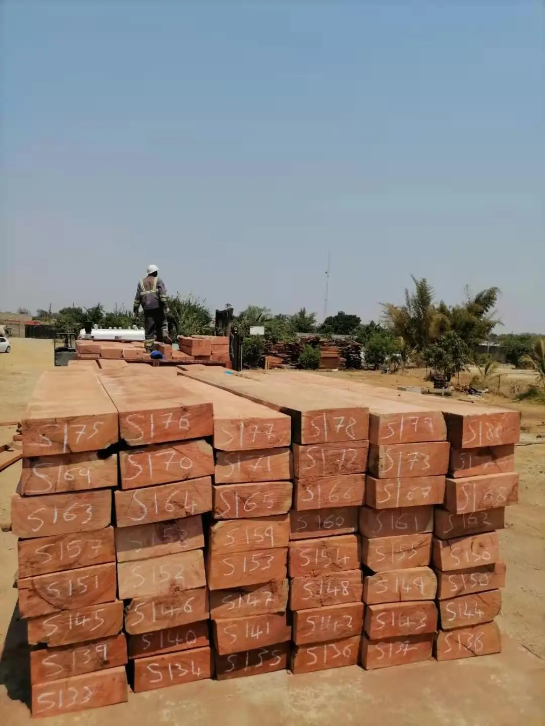 Hot Sales Zambia Mussibi/Mussivi Sawn Timber Logs for Furniture Boat Customized /Quality/ Factory Price