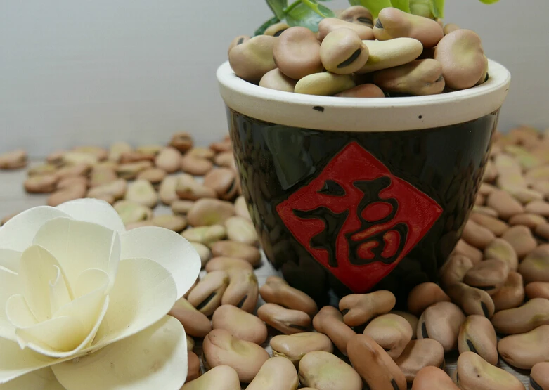 
New crop 2020 high quality of Faba beans 