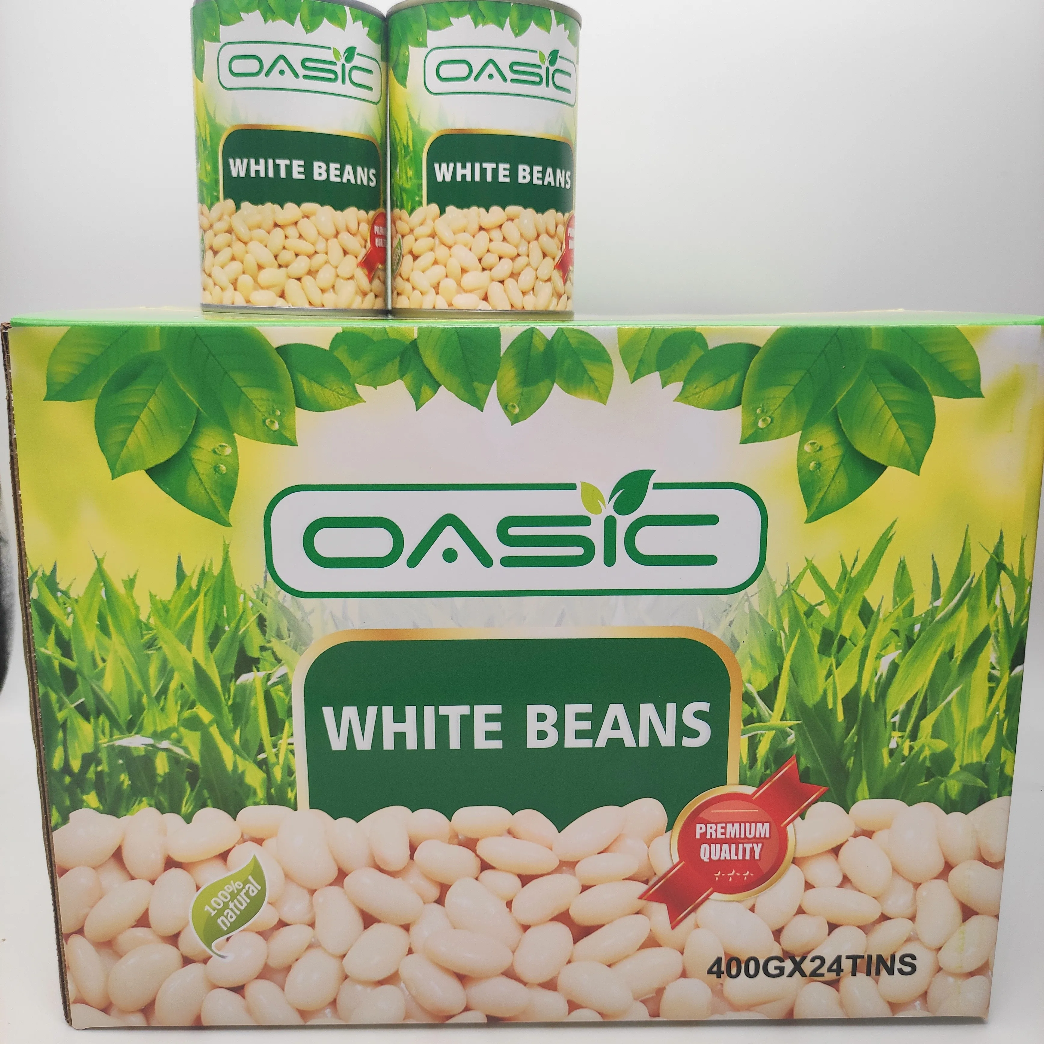 Hot Selling Canned White Kidney Bean in Brine