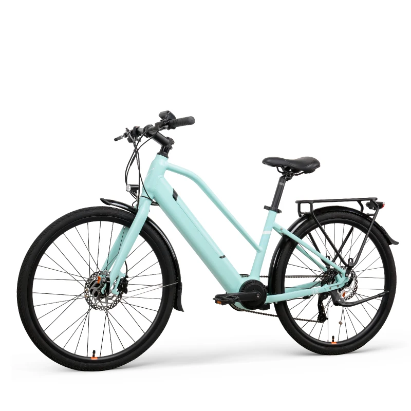  Индивидуальные 26 дюймов 36v 250w электрический велосипед для