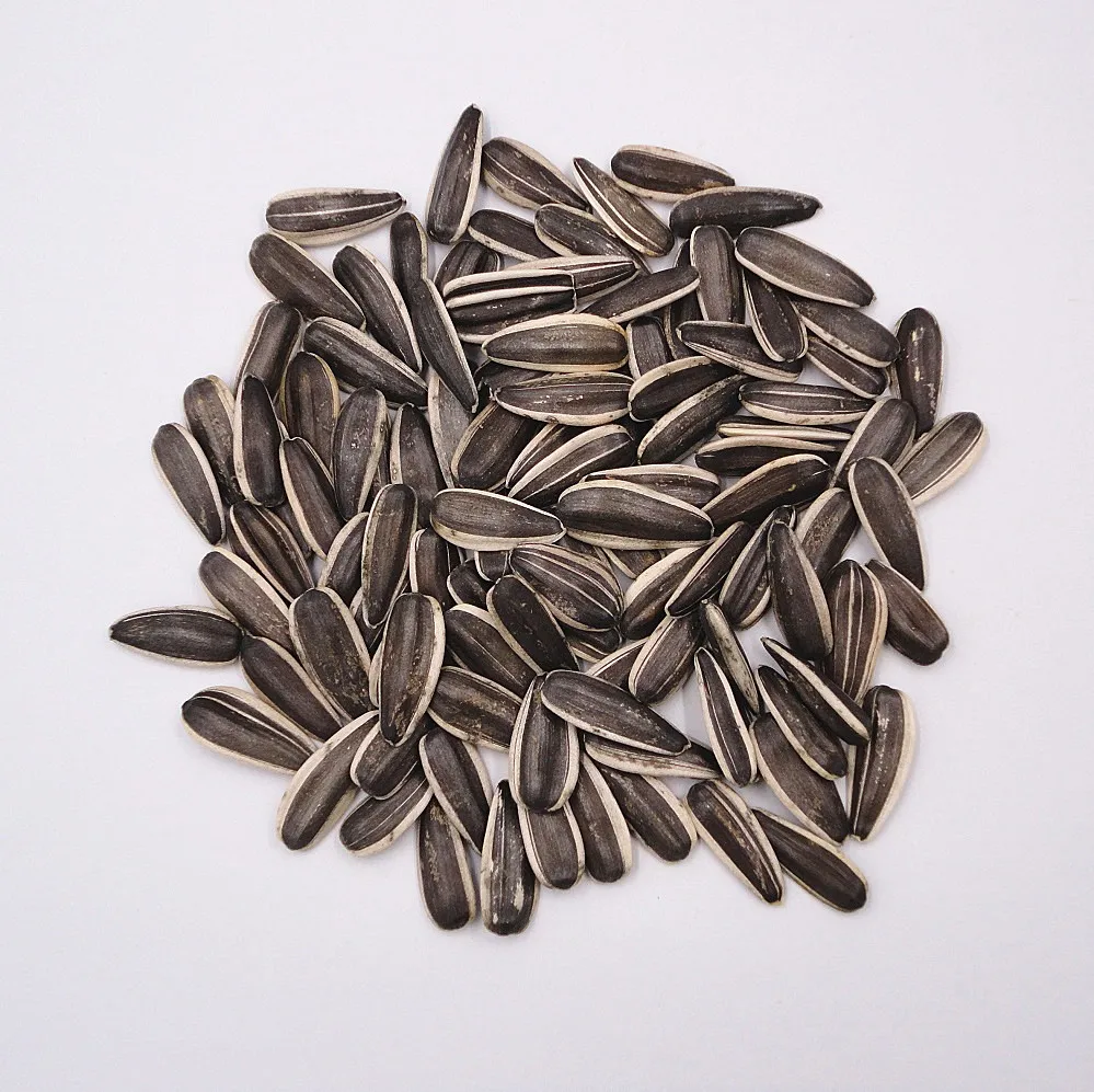 Chinese bulk sunflower seeds market price