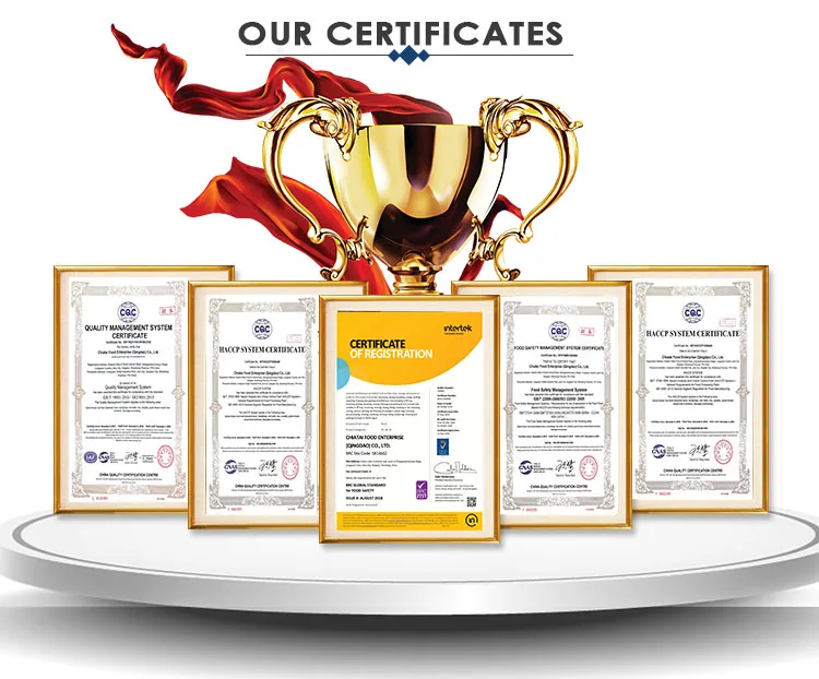 China manufacturer Halal frozen spicy chicken nuggets