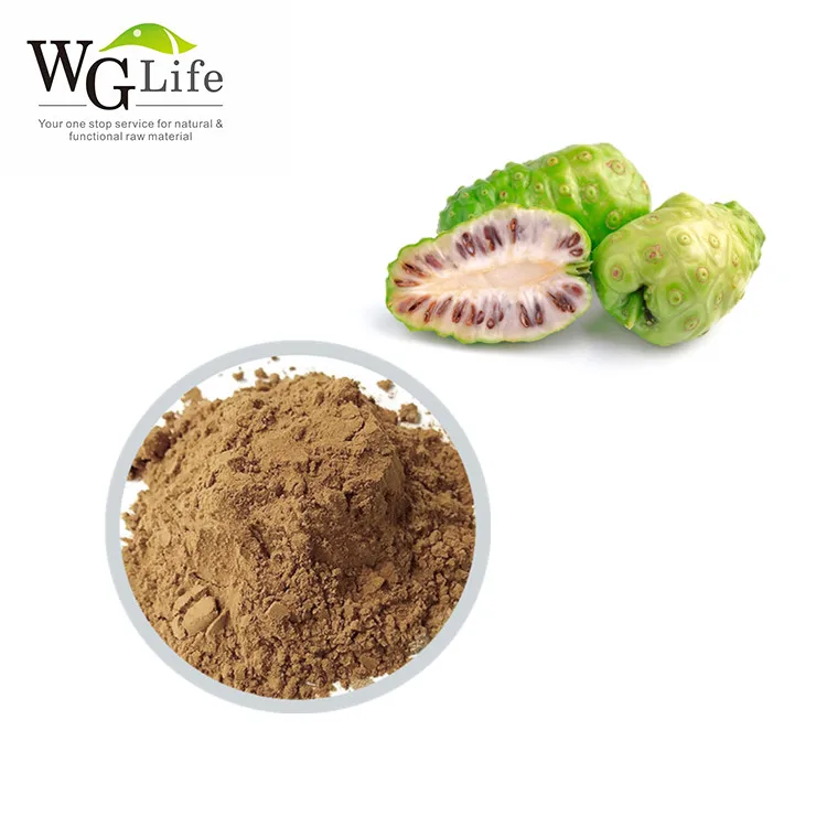 Hainan Factory Hot Sale Organic Natural Noni Fruit Extract Noni Enzyme Water Soluble Powder