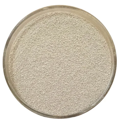 Saccharomyces cerevisiae feed additive aquaculture