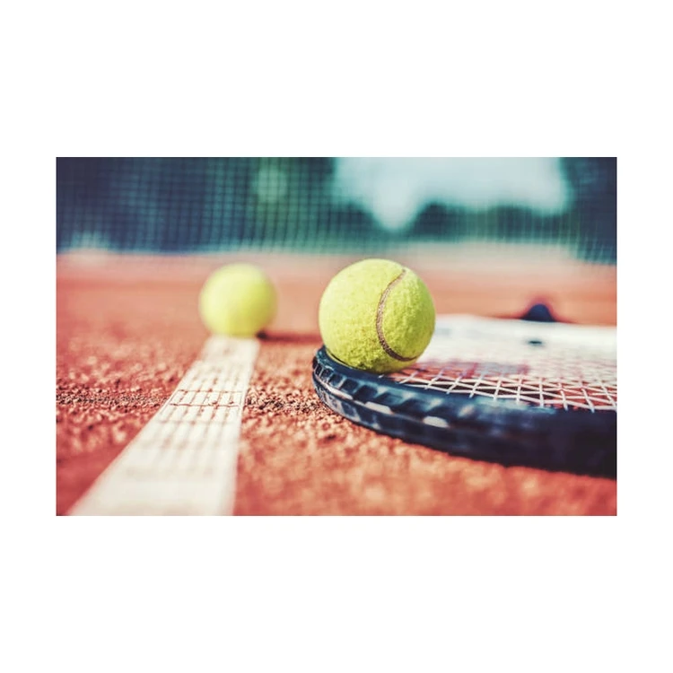 
Good price of good quality New fashion and popular portable carbon tennis racket 