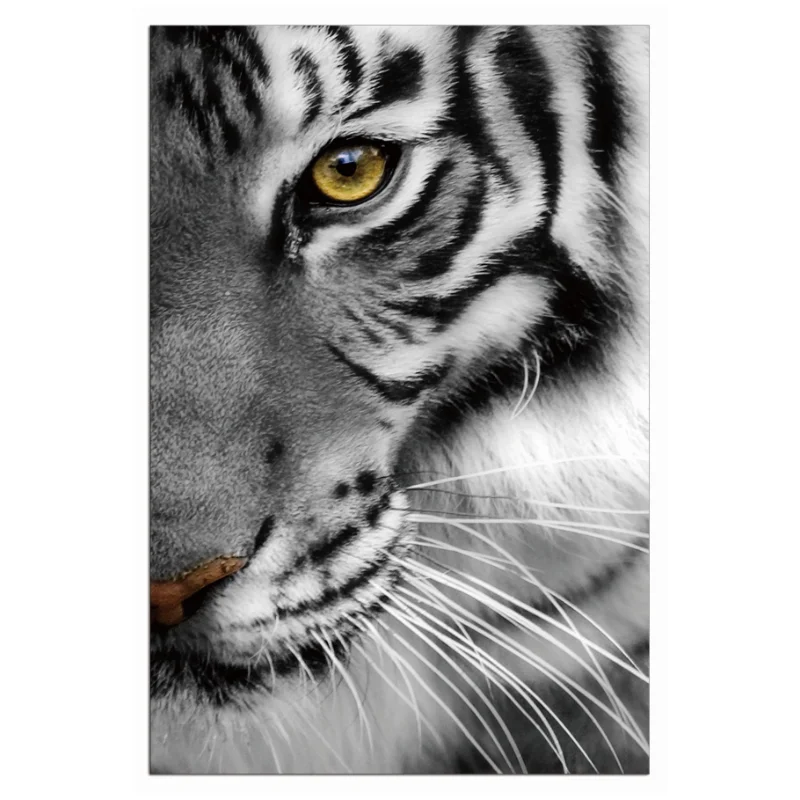 HD Realistic Wild Animal Acrylic Wall Art Canvas Decorative Painting Digital Painting Photo Painting Unframed Office Living Room